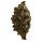 Art.N210 Nostalgie Rosette 3/4"